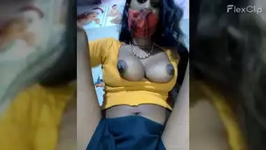 Beautiful brown Indian tits